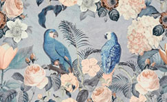 Oiseaux