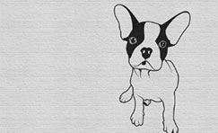 Chien