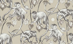 Singe