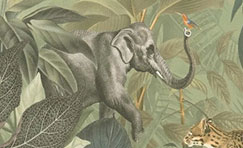 Éléphant