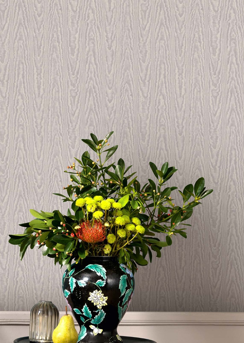 Tristan Taupe