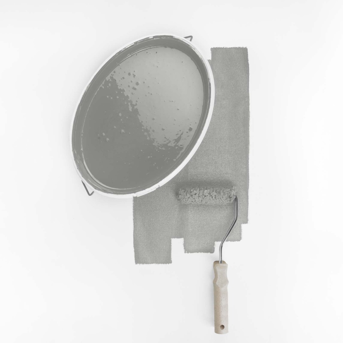 Attractive Anchovies