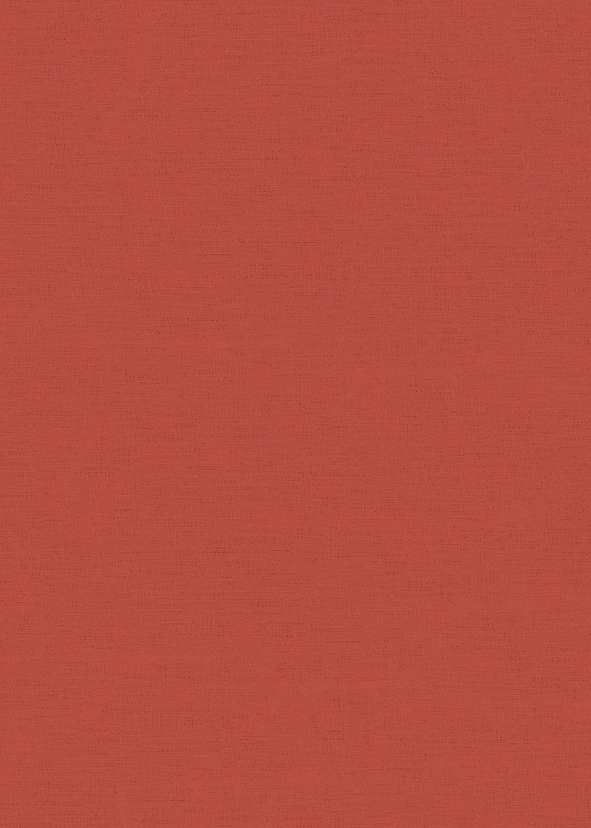 Matisse Rouge 