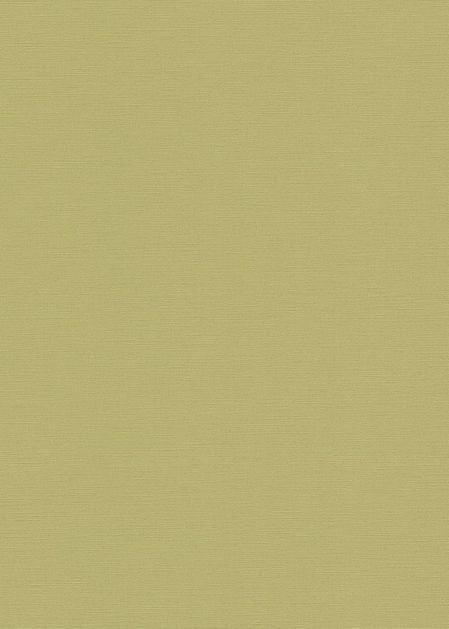 Grace Vert Olive 