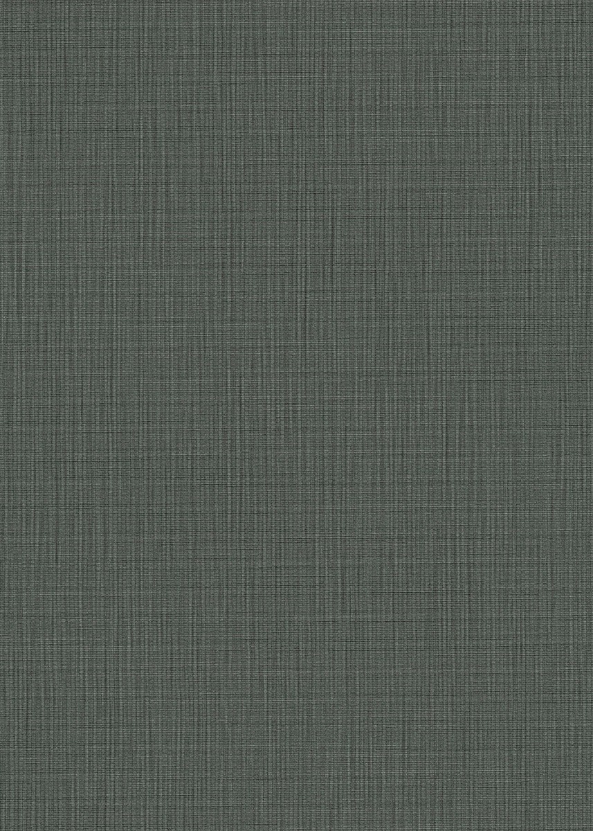 Stanislas Anthracite 