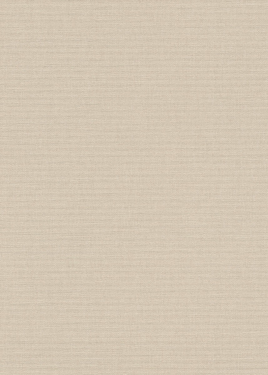 David Beige 