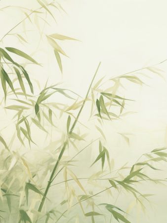 Aymeric Vert Clair 