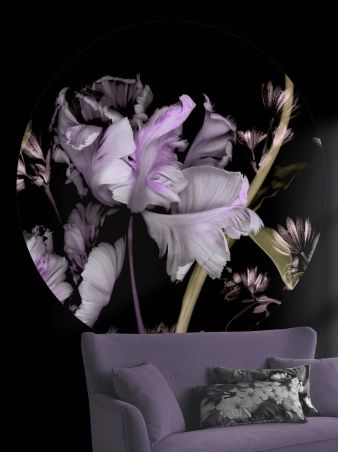 Markus Noir Violet 