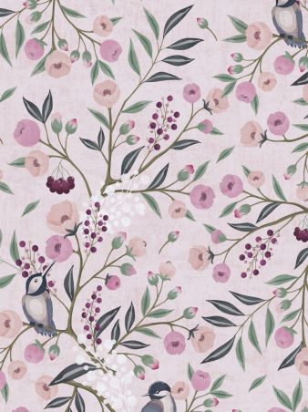 Apollinaire Rosa Coloré 
