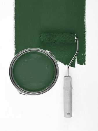 Sage Green "c5005"