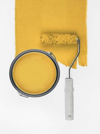 Sunny Yellow "c8003"