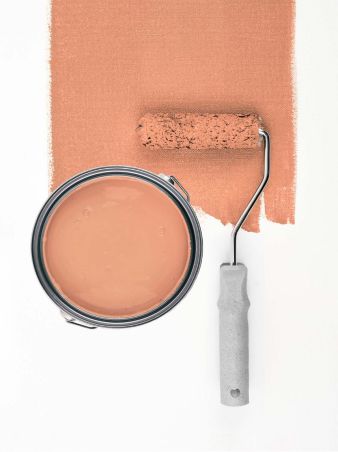 Diverse Apricot "c9013"
