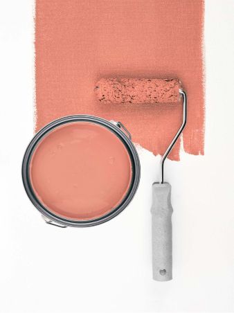 Diverse Apricot "c9014"