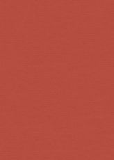 Matisse Rouge 