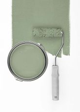 Sage Green "c5002"