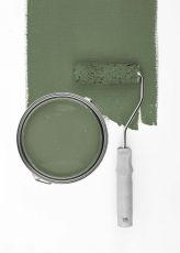 Sage Green "c5004"