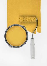 Sunny Yellow "c8003"